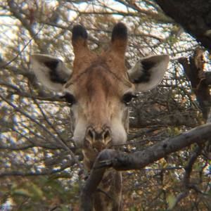 Meet your Posher, Sharon